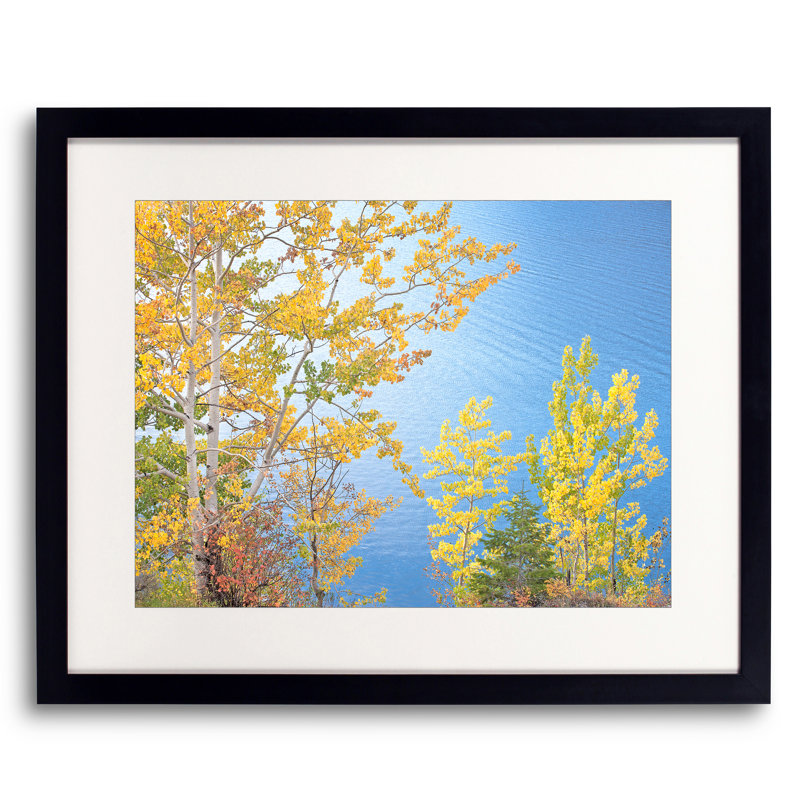 Swan Valley Autumn Portrait #6 Print by Bruce Heinemann, Black Framed Paper, 17.25" H x 21.25" W x 0.88" D, White