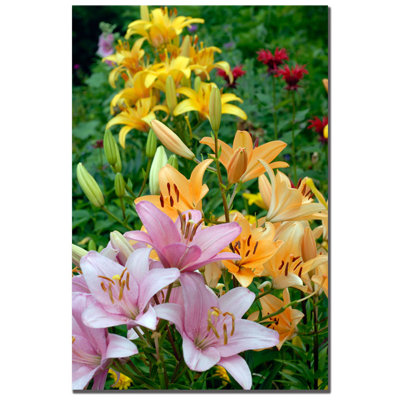 " Lovely Lilies " by Kurt Shaffer