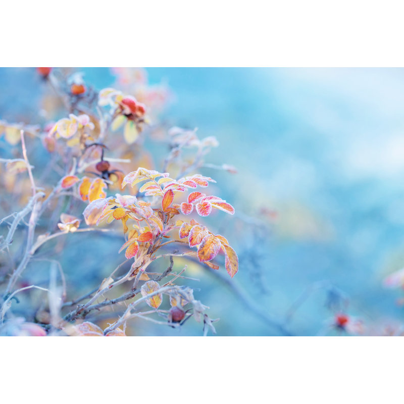 Biddlesden Autumn Leaves 1 Piece Wrapped Canvas Wall Art, 61cm H x 91cm W x 3.8cm D