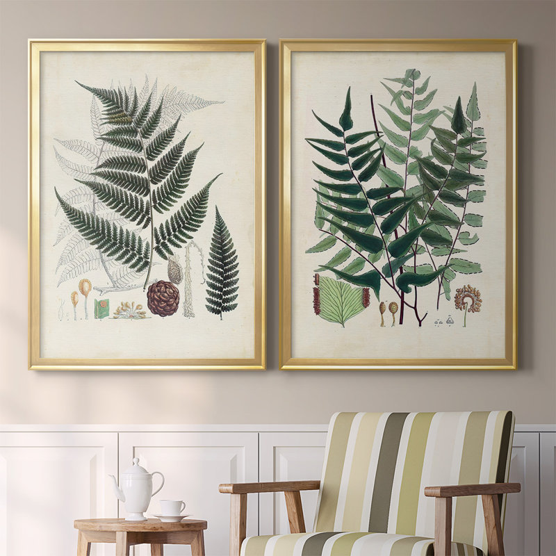 Collection de fougères VI - ensemble de 2 reproductions d'art sur toile encadrées, Or, H 42,5 po x l 61 po x P 1,25 po
