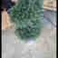 Customer photo 2 of 2