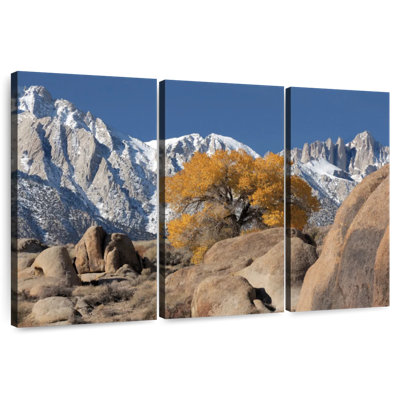 Alvord Lone Tree In Alabama Hills