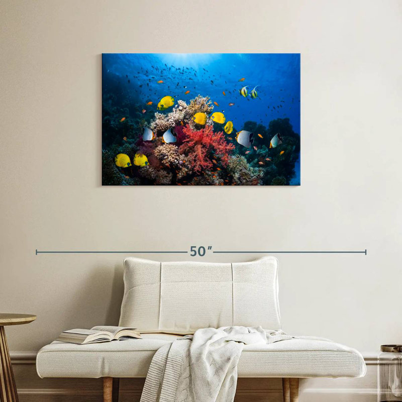 Brampt Underwater Red Sea Life, H 24 po x l 36 po