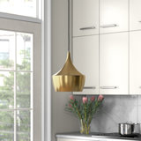 Luminaire suspendu simple en forme de dôme en métal à 1 lumière Wachtel
