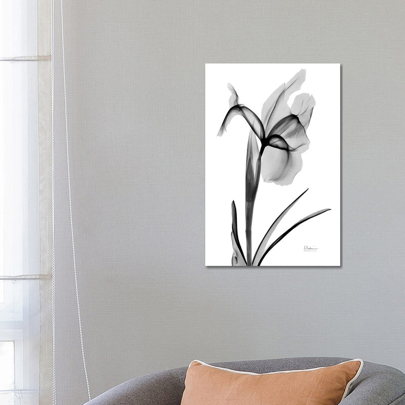 «Expressed Iris II» par Albert Koetsier, impression, Toile tendue, Aucun mat, H 26 po x l 18 po x 1,5 po