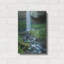 «Oregon Waterfall» par Tim Oldford-101621989