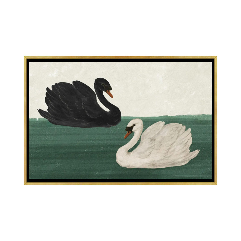 Cygne noir cygne blanc_1PC6, Cadre flottant doré, H 32 po x l 48 po