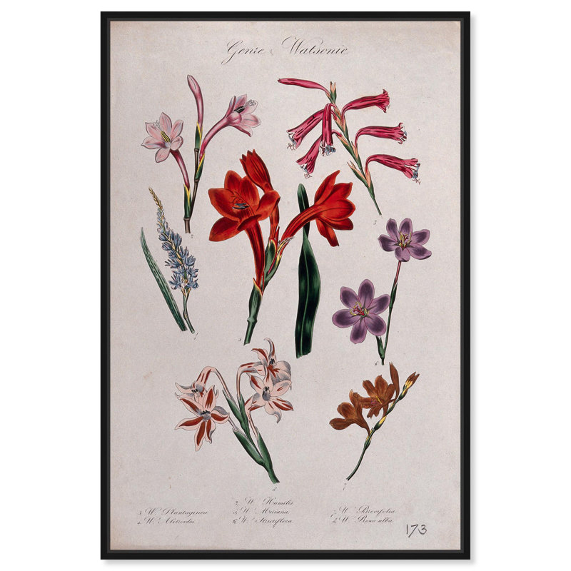 Art Remedy, impressions sur toile, sept plantes, H 46 po x l 31 po, Cadre flottant noir