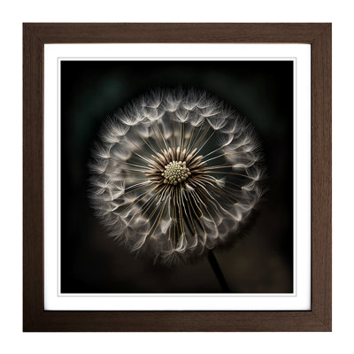Dandelion Photograph - Framed Print