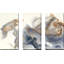 "Approche", ensemble de 3 impressions sur toile