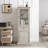 Cabinets-311869444