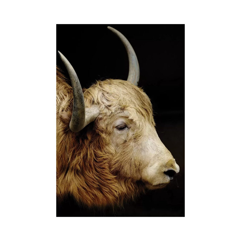 Cow II 1 Piece Wrapped Canvas Wall Art, 30.48 cm H x 45.72 cm W