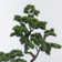 69.3'' Artificial Bonsai Tree In A Tall Beige Checkered Planter Perfect For Indoor And Outdoor Use