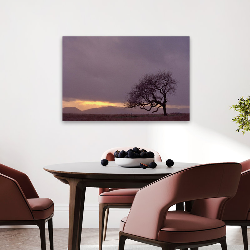 Champ - paysages, arbres, photographie, H 24 po x l 36 po