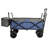 Collapsible Foldable Wagon With Canopy