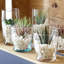 350ml Highball Glass-2040918757