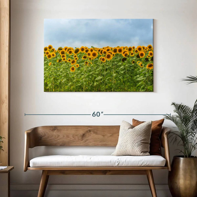Tournesols Alvord, H 30 po x l 45 po