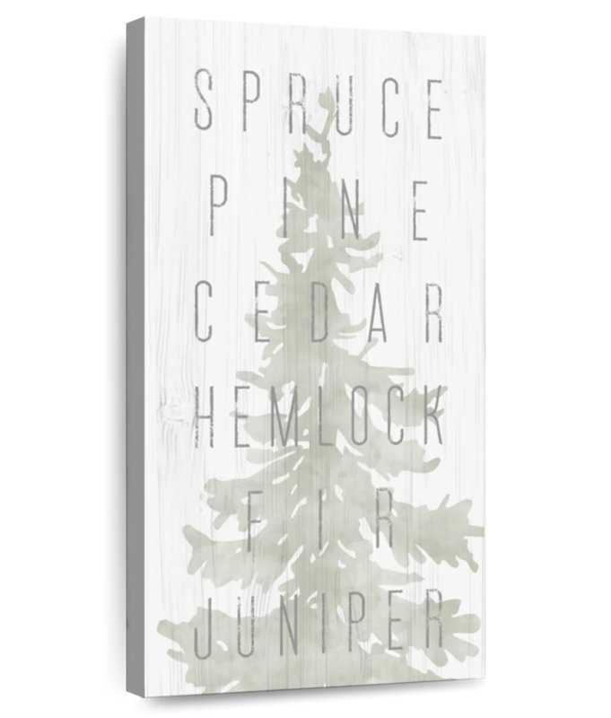 Pine Types, 24" H x 12" W