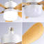 Ventilateur de plafond à douille de 16 pouces avec 3 lumières de couleur et télécommande E26-1505260772-1505260768
