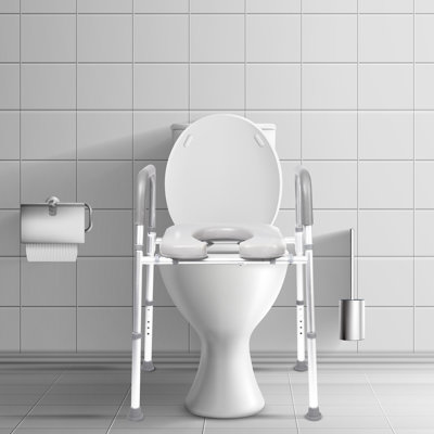 Raised Toilet Seat