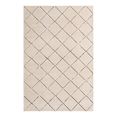 Latitude Run® Checks Novica Rug White and Silver