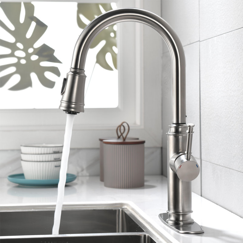 Topcraft Pull Down Single Handle Kitchen Faucet