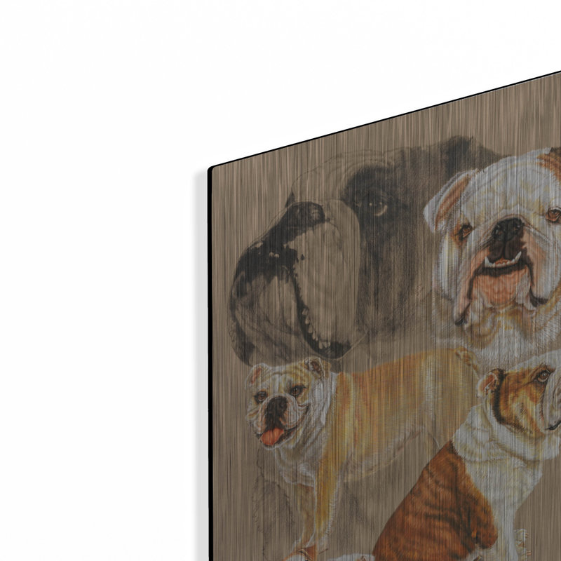 «English Bulldog» par Barbara Keith, H 16 po x l 12 po