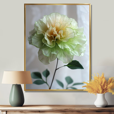Blanc, blanc, jardin, glamour, souci, photo, souci, art mural, salon