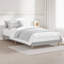 Brotherhood Bed-1725702486-1722525218