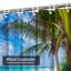 Tropical Beach, cocotier, beauté, bleu, côte de nuages avec 12 crochets-1288877149