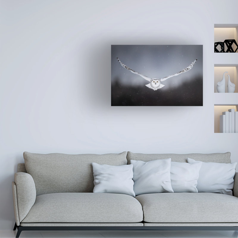 Art sur toile «Bachelor Alberto Ghizzi Panizza», H 30 po x l 47 po