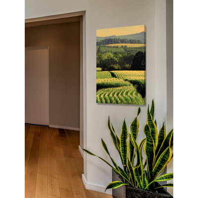 « corn rows » par don schwartz, reproduction d’art sur toile tendue