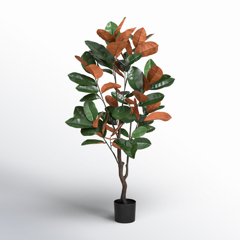 Faux Magnolia Plant in Pot, 48" H x 25" W x 25" D