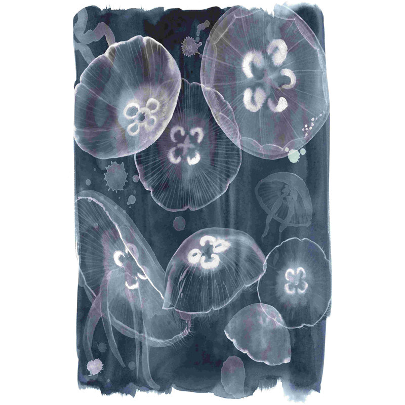 Moon Jellies II, H 18 po x l 12 po