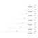 Foshee Dimmable LED Bath Bar
