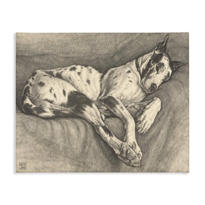 «Sleeping Hound», dessin par Bertha Van Hasselt