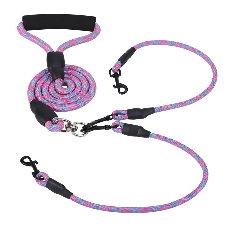 Double laisse pour chien
