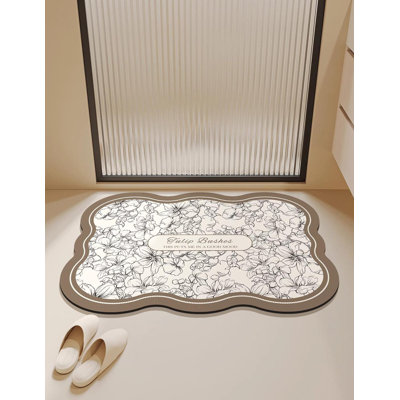 Decontamination Diatomaceous Earth Absorbent Bathroom Mat