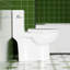 Toilette économiseur d'eau 1,28 po, conception allongée et confortable, siège, chasse d'eau de 1000 grammes, blanc brillant 003S, appareil de salle de bain au sol, hauteur latérale, score de chasse d'eau, fixation brillante
