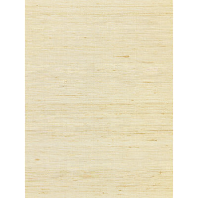 Rouleau de papier peint de couleur unie de L 3 pi x L 43 po Callisto