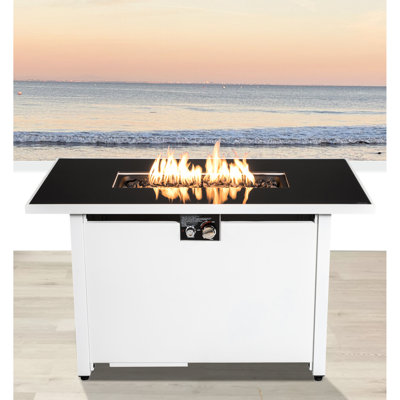 Table de foyer d'extérieur 25H x 42W en acier inoxydable, 50000, rouille et chaleur, table en acier blanc, sortie, résistant à la chaleur, rouille, moderne avec porte
