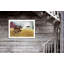 «Granddad's Old Truck» par Billy Jacobs - reproduction d'art sur papier-30928228