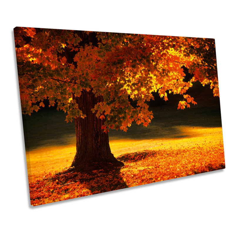 Floral Autumn Orange Tree - Wrapped Canvas Art Prints, 30.5cm H x 45.7cm W x 2cm D