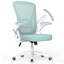 Chaise de bureau ergonomique en filet avec accoudoirs rabattables Norlene-757732378