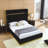 Aspen Upholstered Low Profile Platform Bed-609741700-627037357