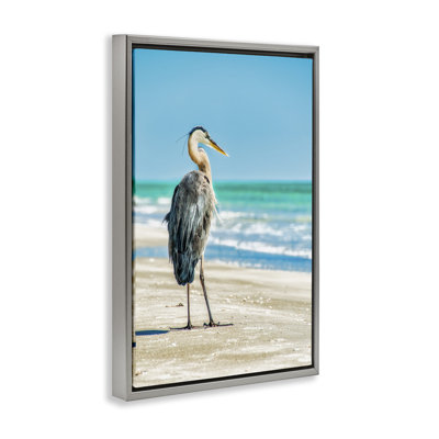 Reflective Beach Bird Floater Canvas by Mary Lou Johnson