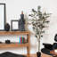 Arbre en pot Winnetka-27703839