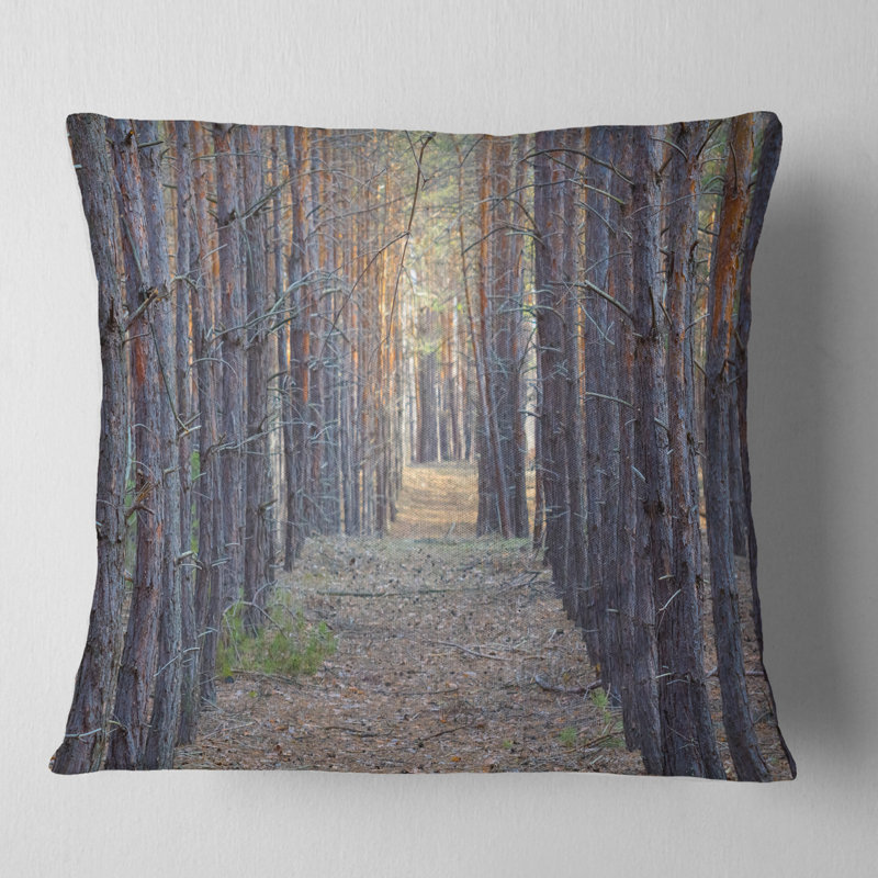 Photographie de forêt de pin élancé - Coussin imprimé forêt, 18 po x 18 po, Coussin décoratif