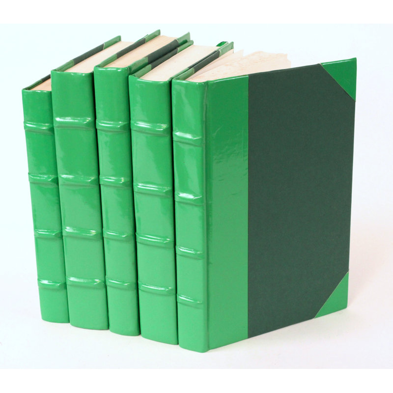 Ensemble de 5 livres décoratifs en cuir verni