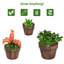 Wood Barrel Planter
